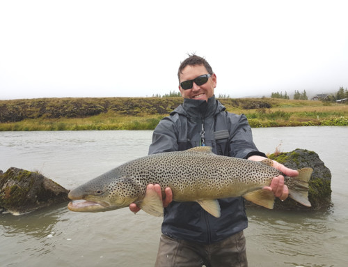 Sea Trout River Varma